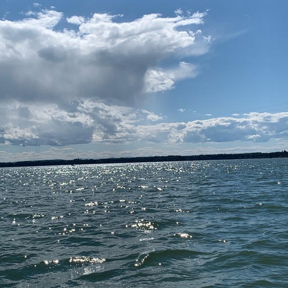 Meet your Posher, Muriel - Picture 1 of 1